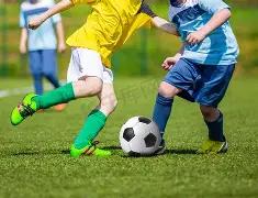 湖北政府颁,发见义勇为,荣誉称号,B体育平台,B体育官方网站,B体育登录入口,B体育app下载