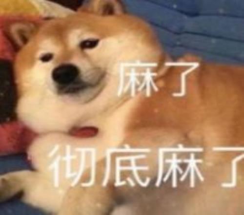 探索奥秘一,整天,埃及智慧启,B体育平台,B体育官方网站,B体育登录入口,B体育app下载